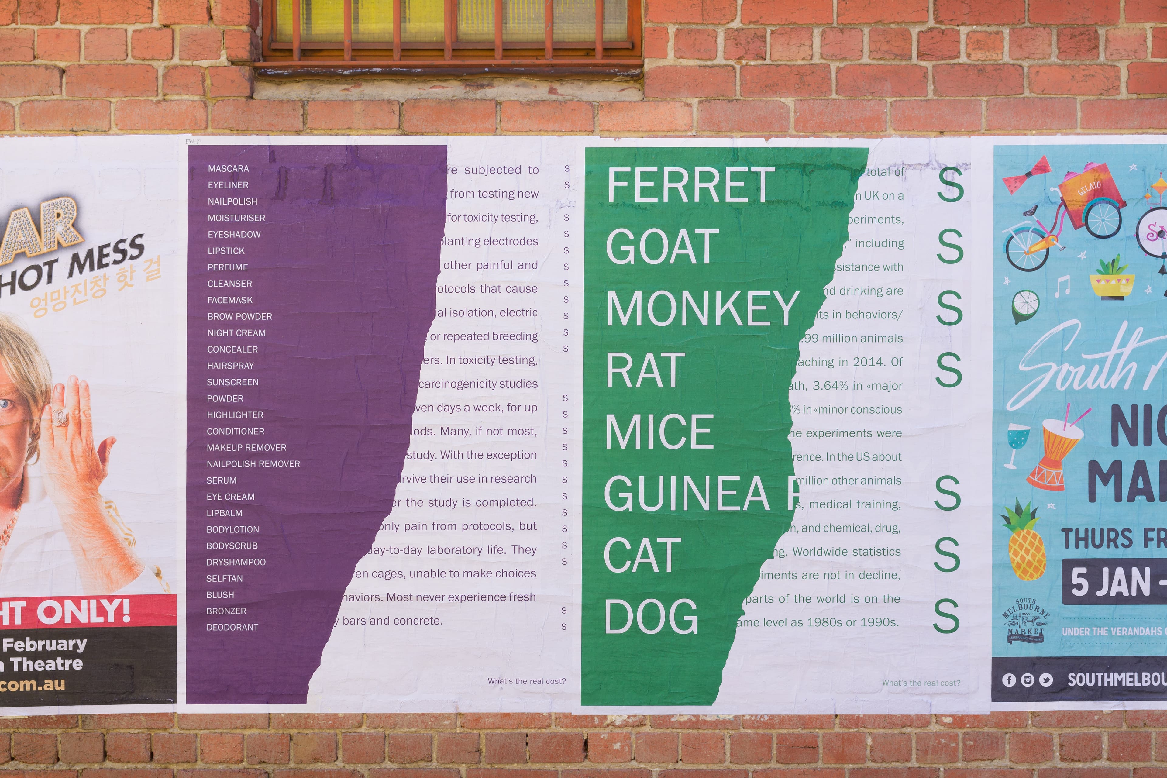 Animal Cruelty Poster