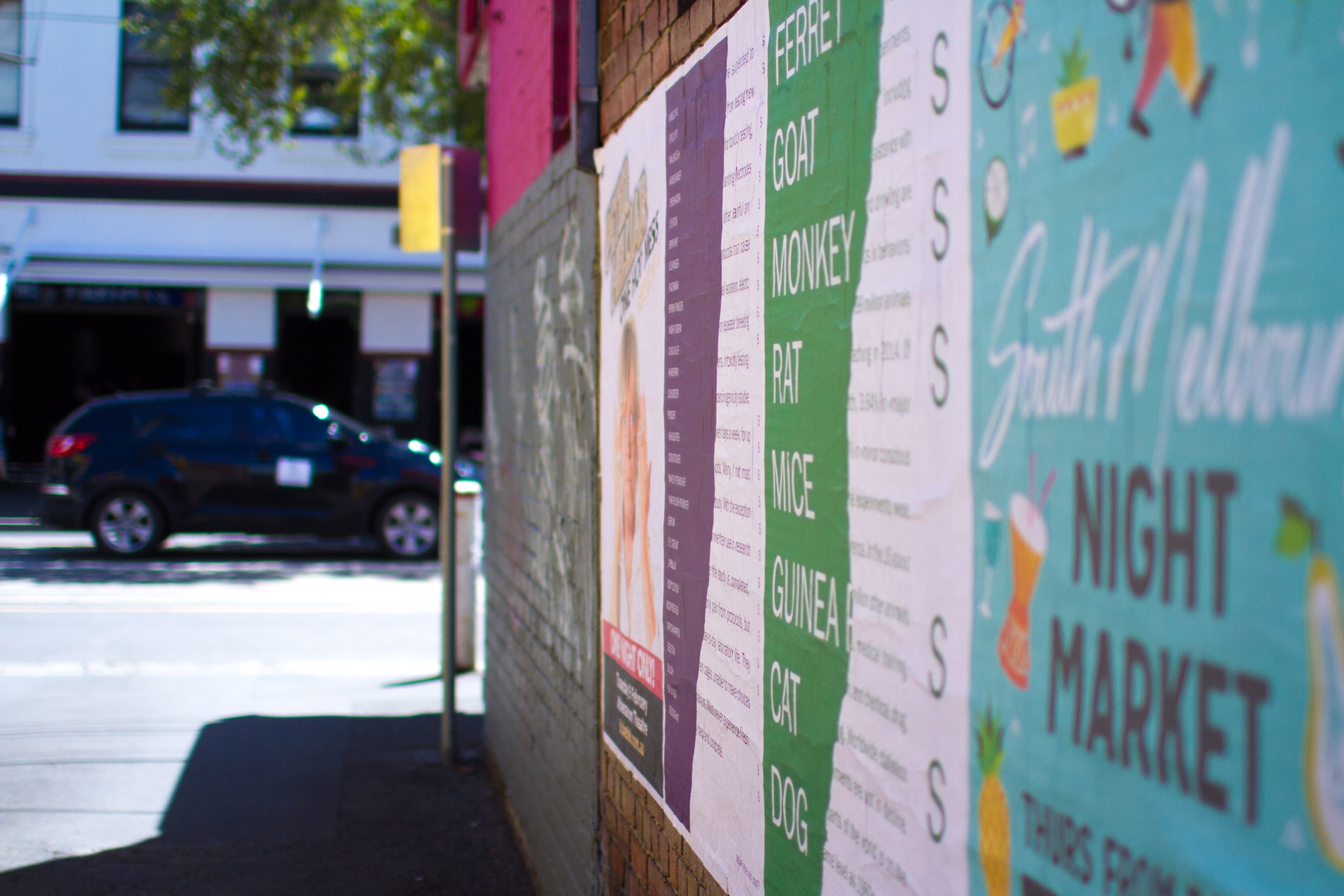 Animal Cruelty Poster