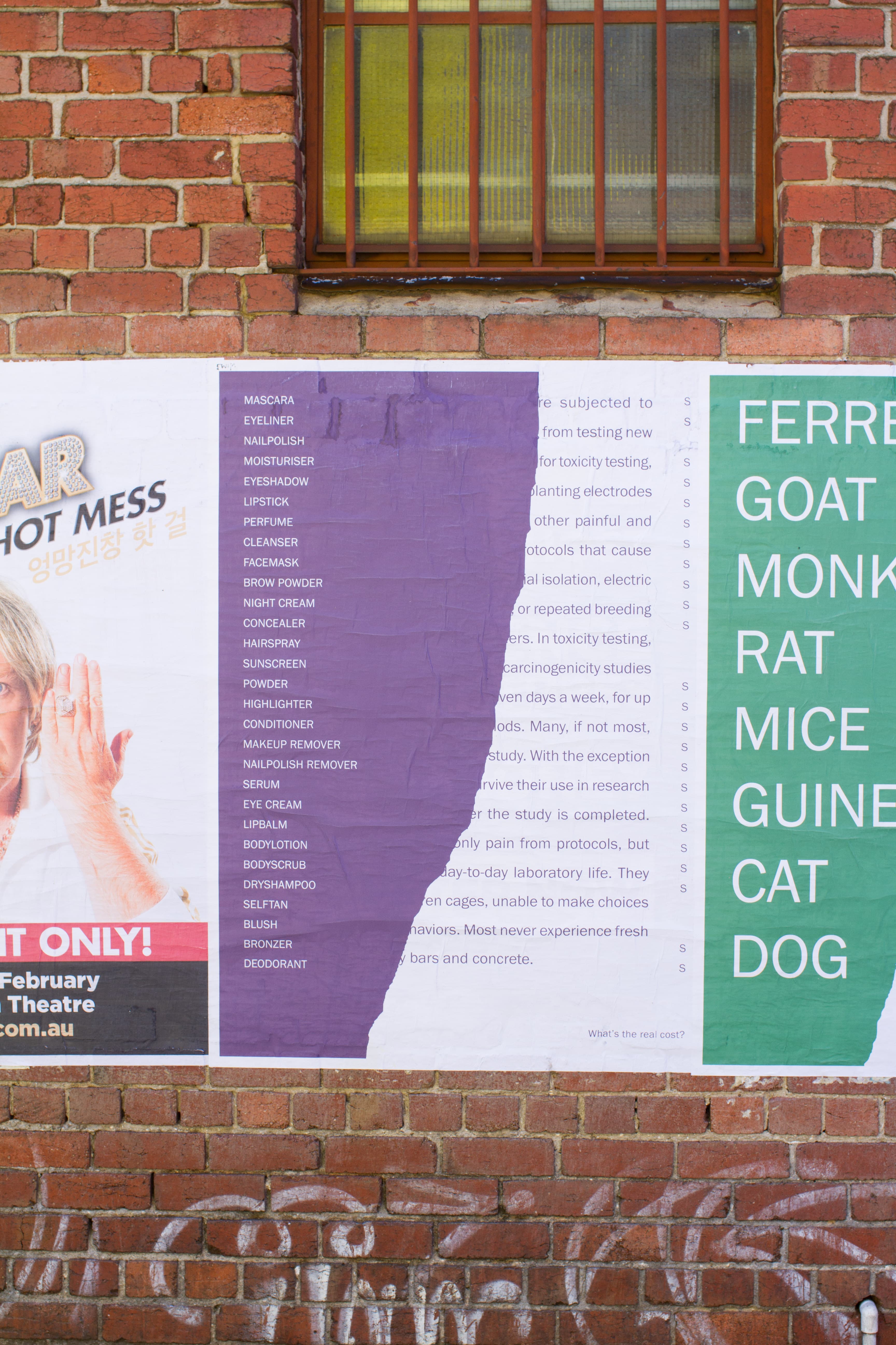 Animal Cruelty Poster