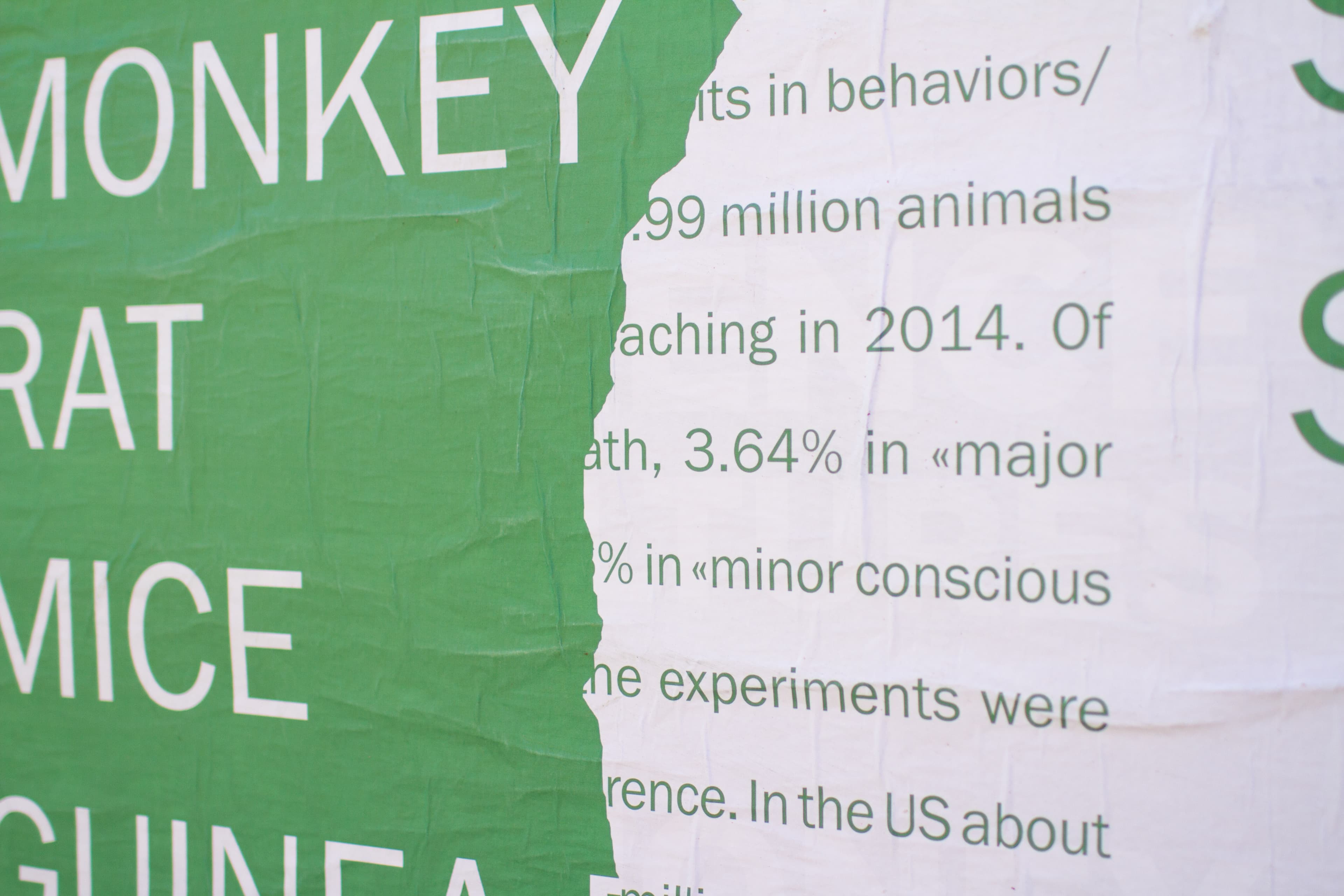 Animal Cruelty Poster